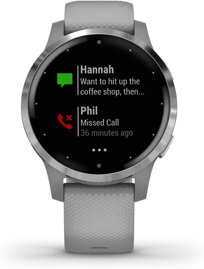 GARMIN VIVOACTIVE 4 SILVER
